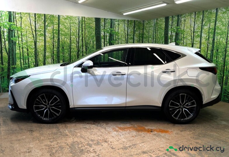 Lexus NX White