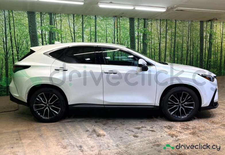 Lexus NX White