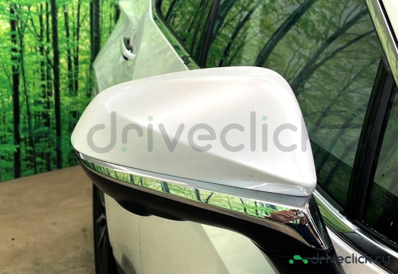 Lexus NX White
