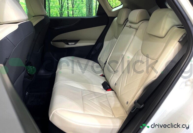 Lexus NX White
