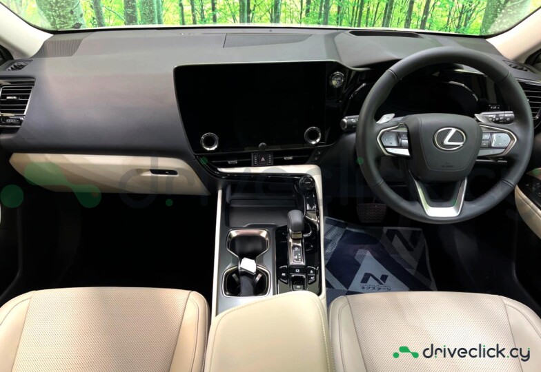 Lexus NX White