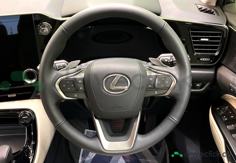 Lexus NX White
