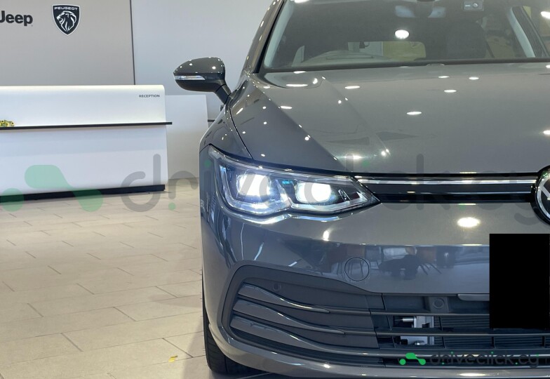 Volkswagen Golf Grey