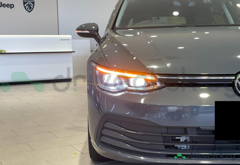 Volkswagen Golf Grey