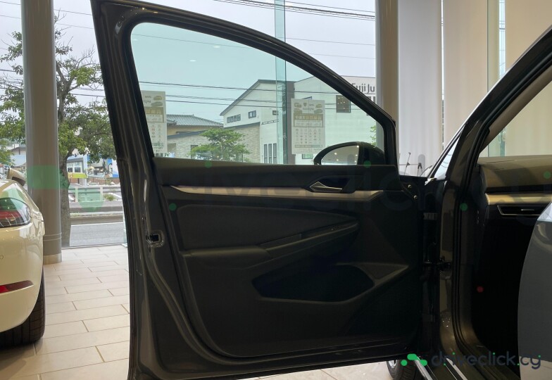 Volkswagen Golf Grey
