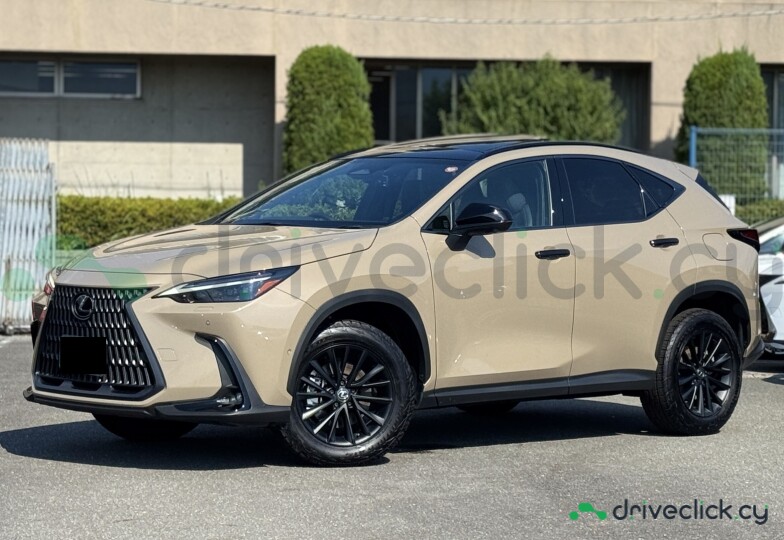 Lexus NX Beige