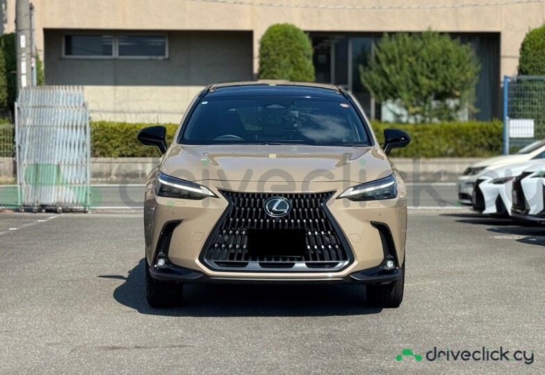 Lexus NX Beige