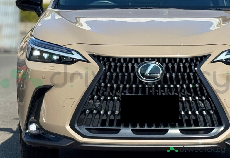 Lexus NX Beige