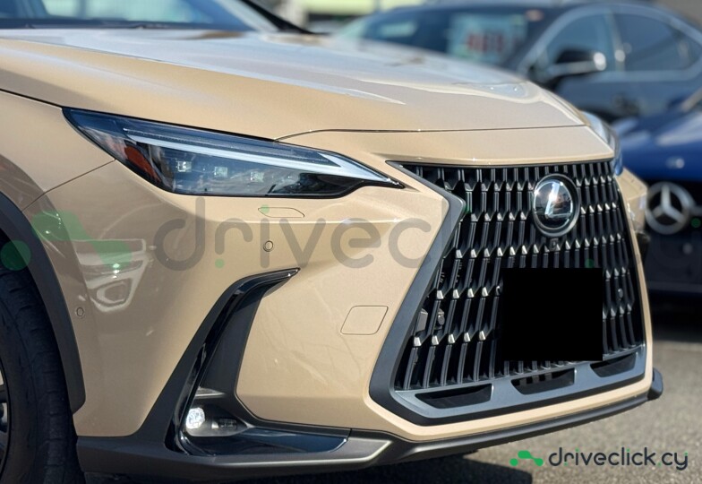 Lexus NX Beige