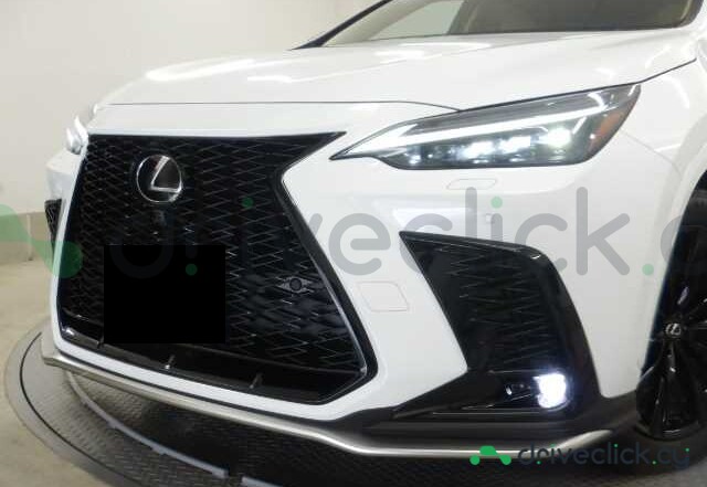 Lexus NX White