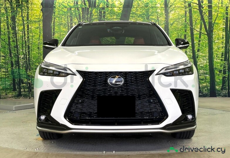 Lexus NX White