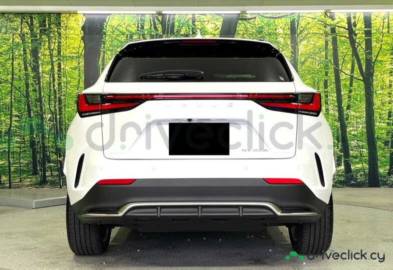 Lexus NX White