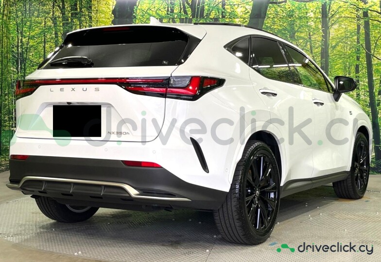Lexus NX White