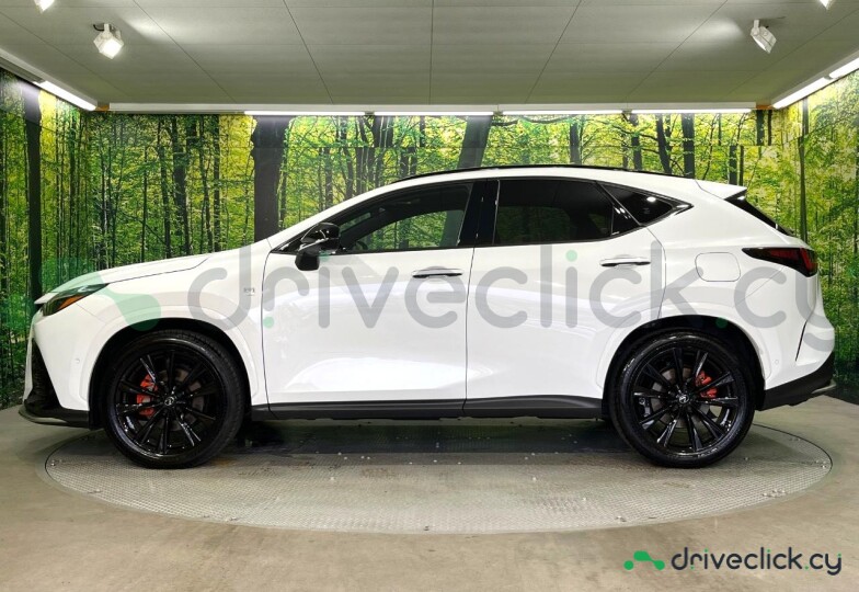 Lexus NX White