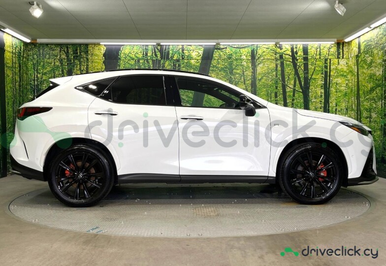 Lexus NX White