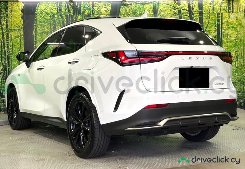 Lexus NX White