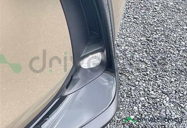 Lexus NX Beige