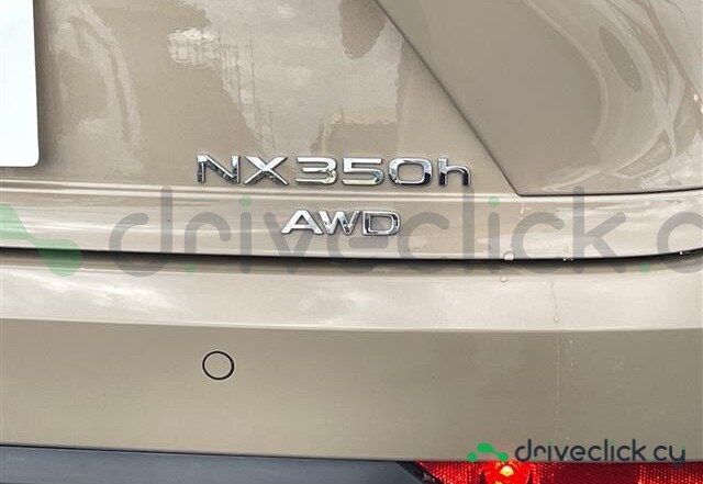 Lexus NX Beige
