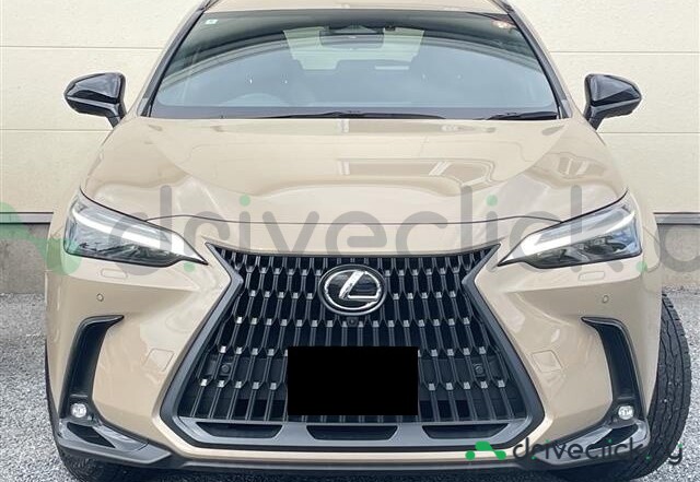 Lexus NX Beige