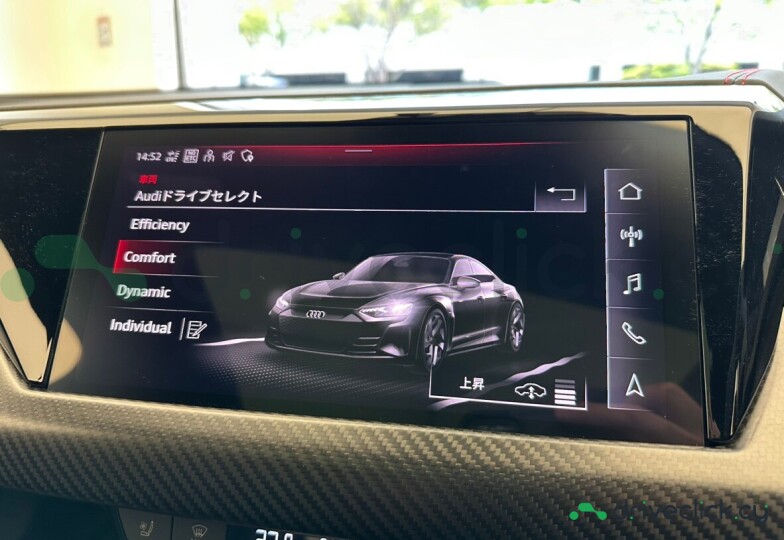 Audi RS e-tron GT Серый