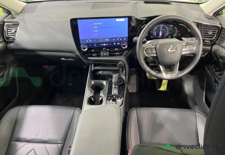Lexus NX White