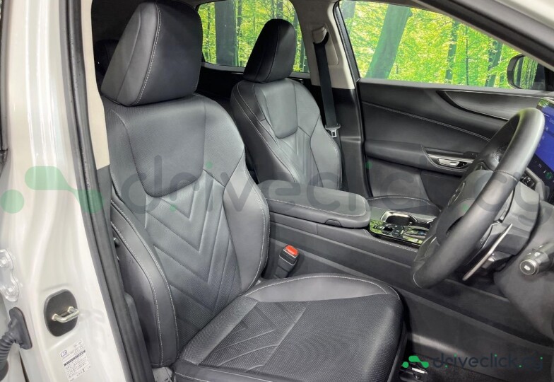 Lexus NX White