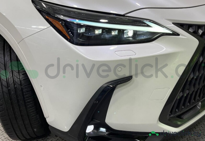 Lexus NX White
