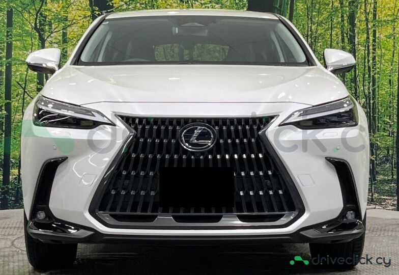 Lexus NX White