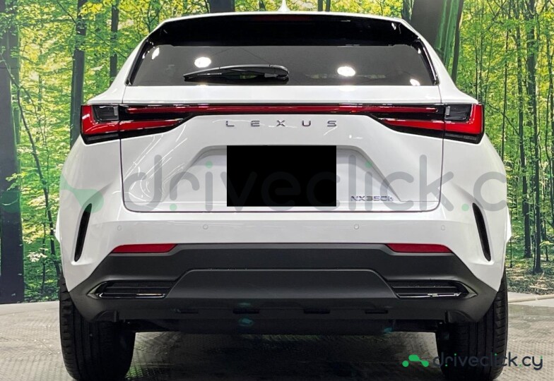 Lexus NX White