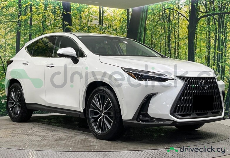 Lexus NX White
