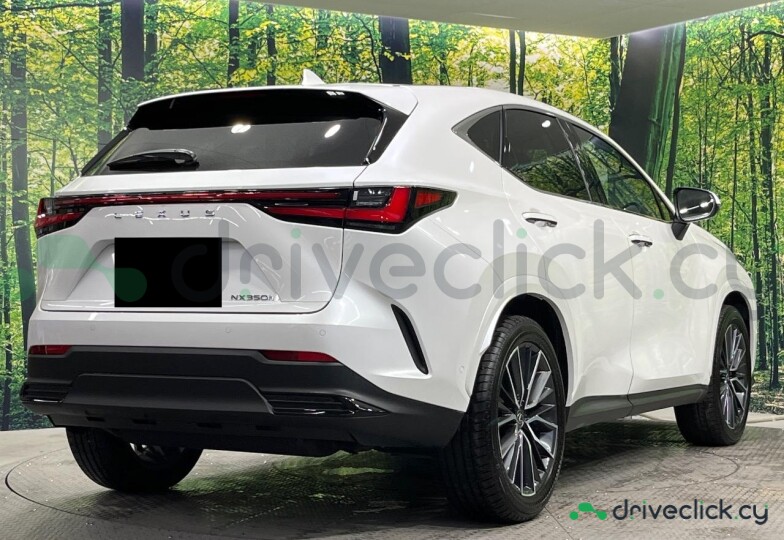 Lexus NX White