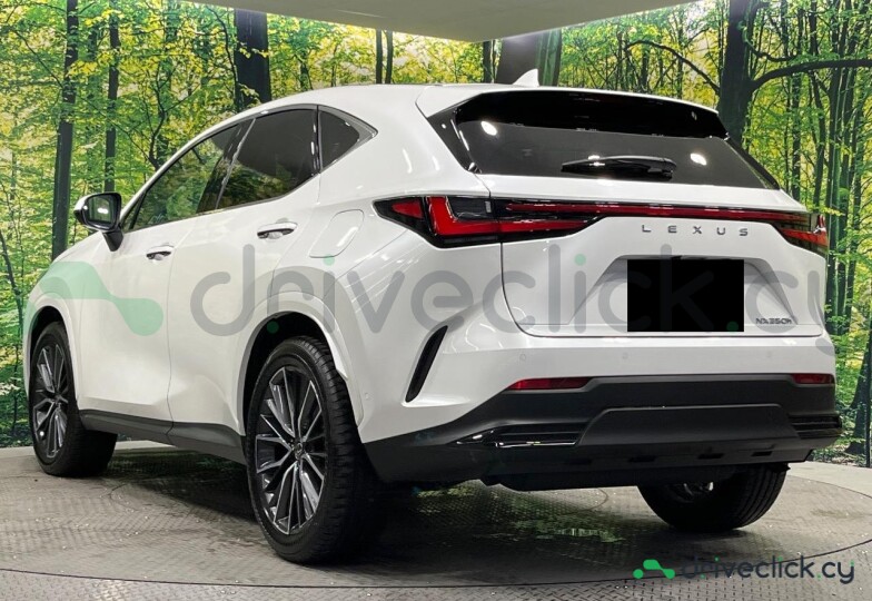Lexus NX White