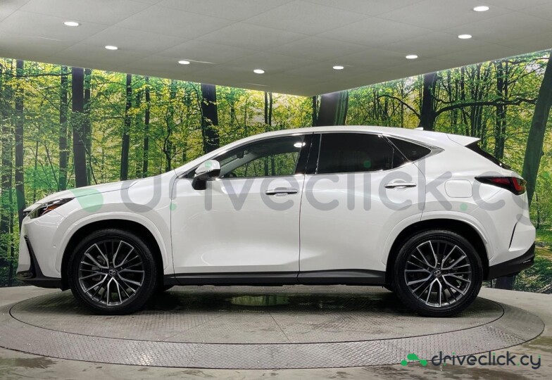 Lexus NX White