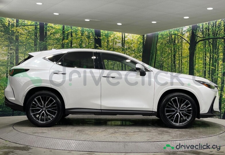 Lexus NX White
