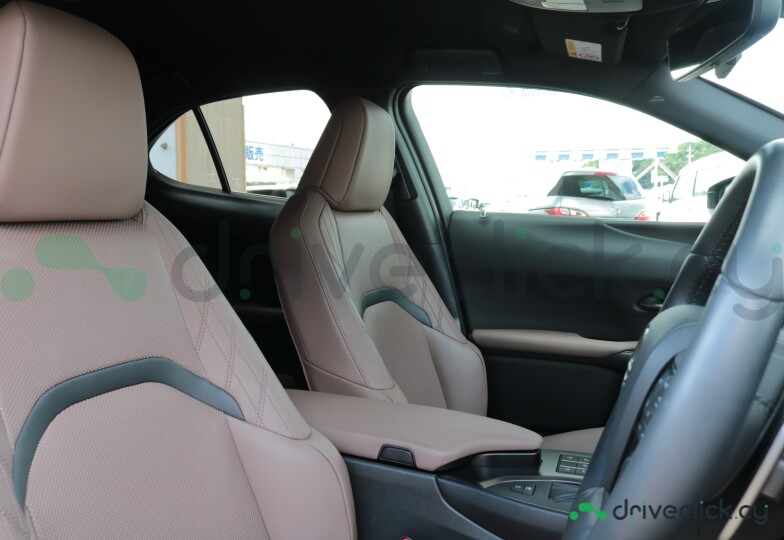 Lexus UX Green