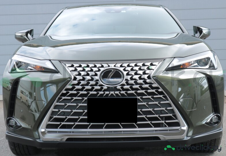 Lexus UX Green