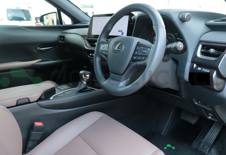Lexus UX Green