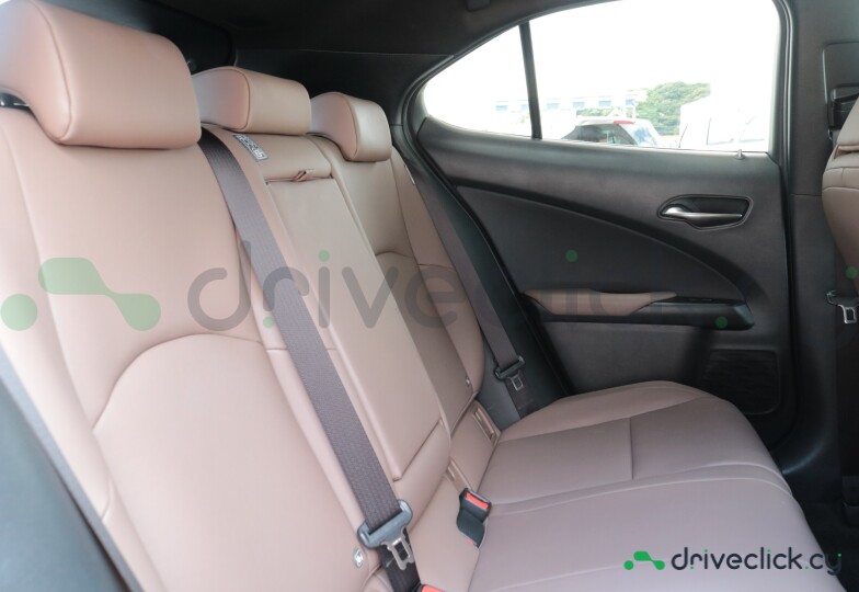 Lexus UX Green