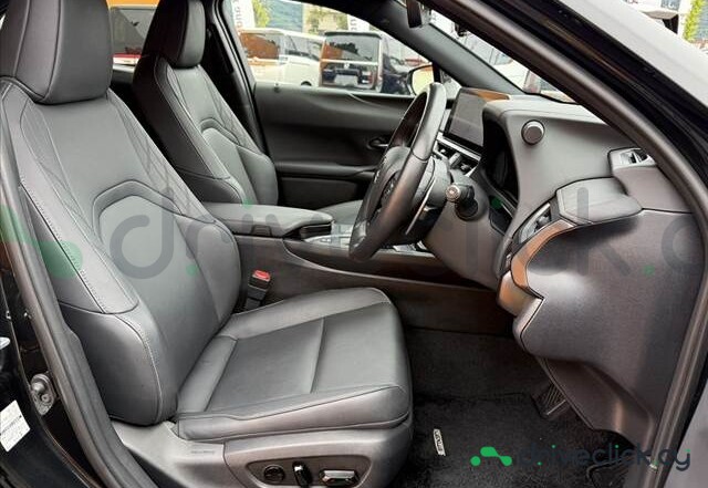 Lexus NX Black