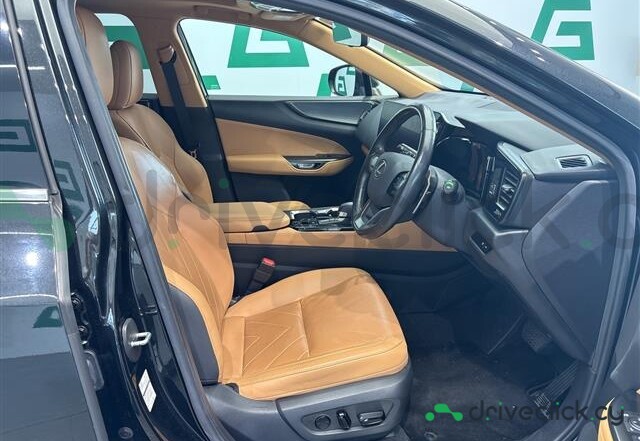 Lexus NX Black