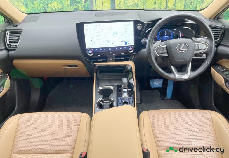 Lexus NX White