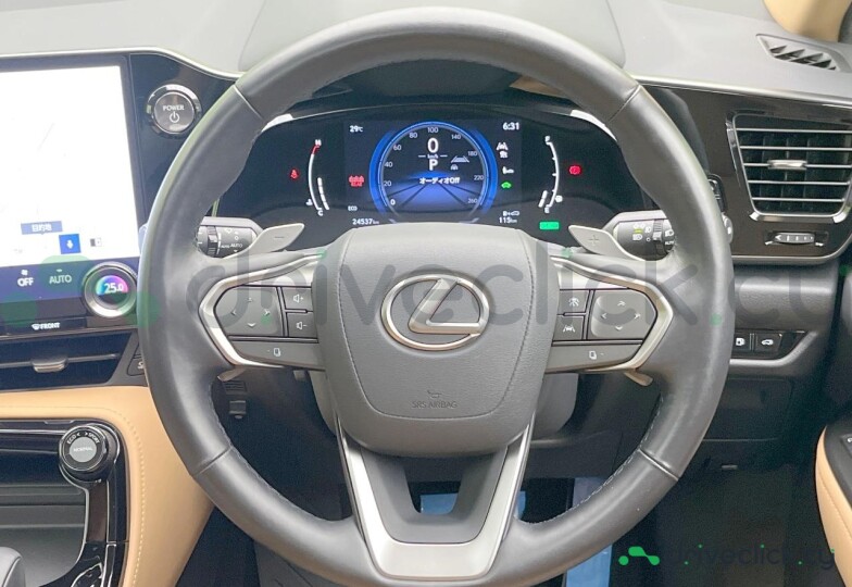Lexus NX White