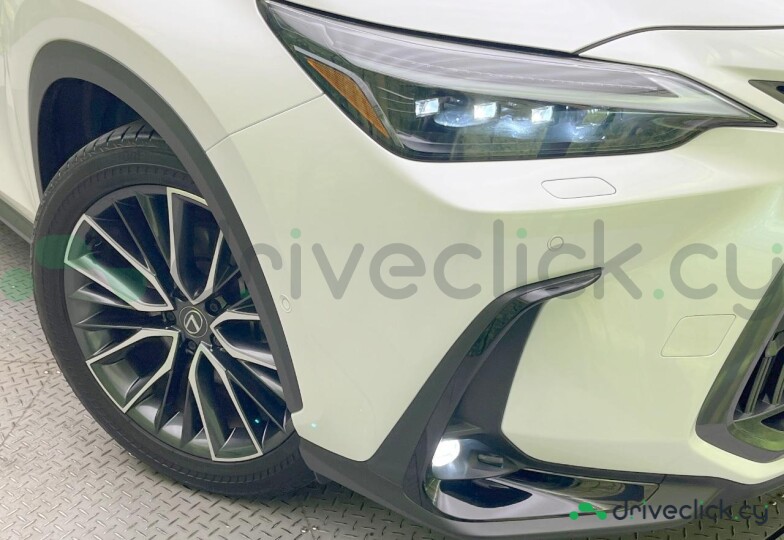 Lexus NX White