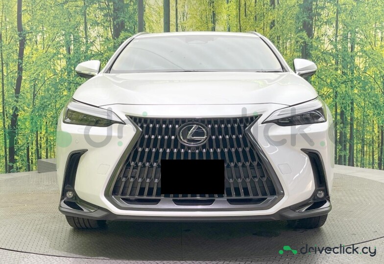 Lexus NX White