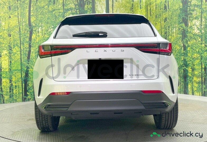 Lexus NX White