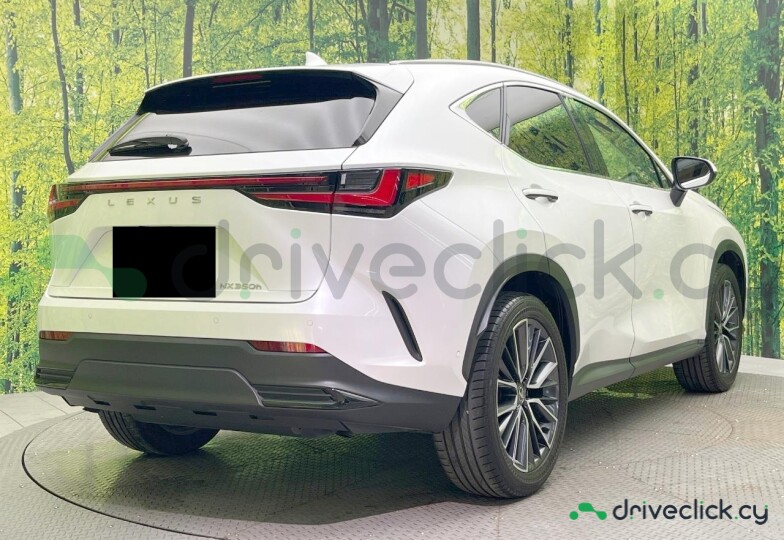 Lexus NX White