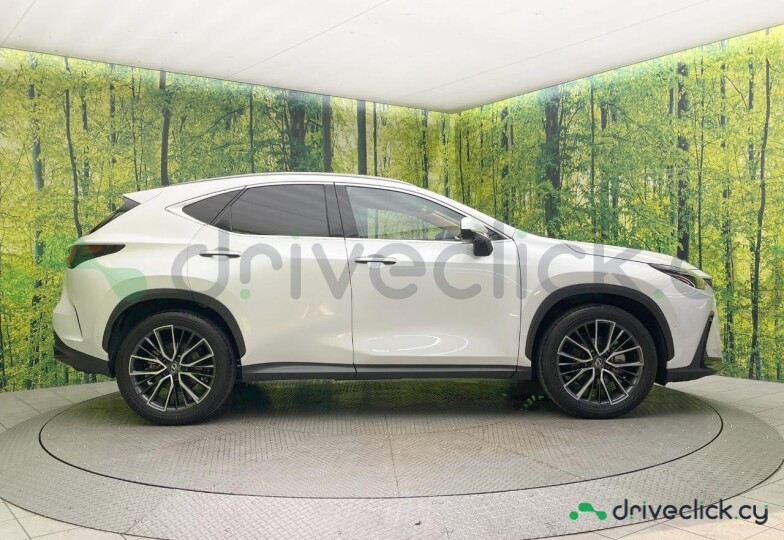 Lexus NX White