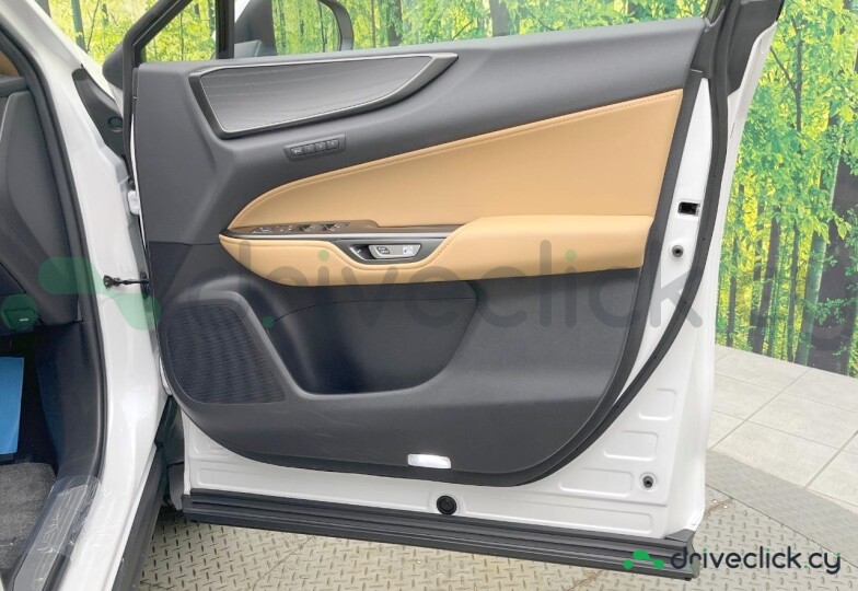 Lexus NX White