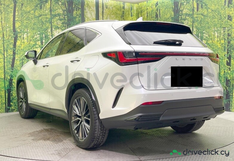 Lexus NX White