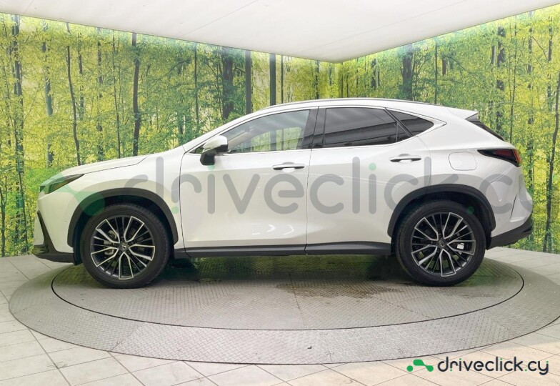 Lexus NX White